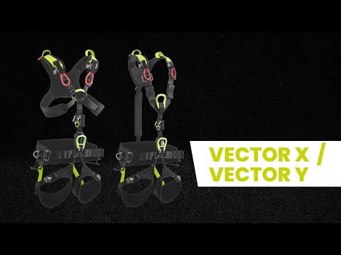 Vector Y
